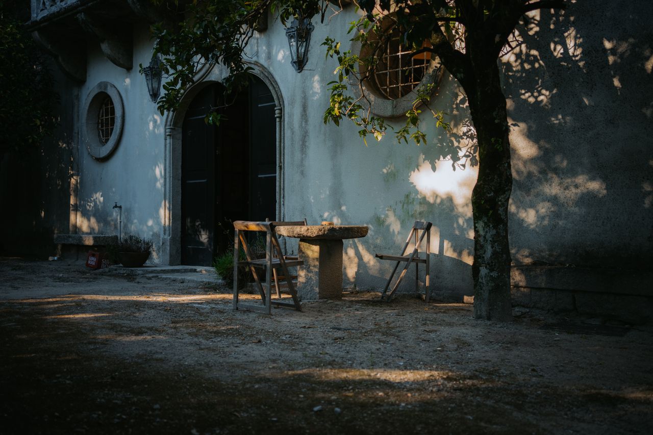 pexels-diogo-miranda-2044514-27573420